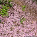 완산도서관 화장실 이미지