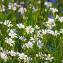 의정부종합동물병원 이미지