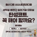 홍이줄눈 네이버블로그