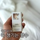 모닝스카이호텔 | 면세점 향수 추천 | 메종 마르지엘라 레이지 선데이 모닝 후기 (여행 갈 때 챙기기 좋은 향)