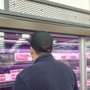 백구농협하나로마트 네이버블로그