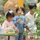 그냥 심심해서요. (36523) 함평 나비축제 오늘 개막 이미지