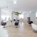 Salon The 문 이미지