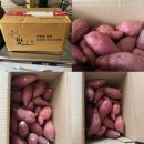 맛통령 이미지
