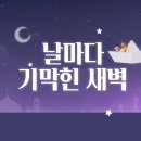 새벽(776)