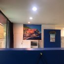 베조아니 이미지