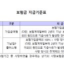 보험금의 지급사유[무배당THE간편고지종신보험(해지환급금미지급형)_기납입P플러스형] 이미지