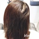 모호헤어(MoHoHair) | 강동역미용실 모호헤어 클리닉은 기본옵션 찰랑이는 매직펌
