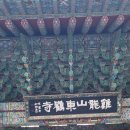 계룡산온천 | 🌸 대전 유성온천 코스 추천｜계룡산 벚꽃 + 대온탕 + 감자탕 맛집까지 🌸