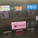 수진역 여우앤뷰티 속눈썹펌 후기