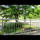 청광새들녘마을 이미지