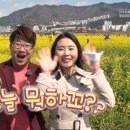 두명마을자연체험촌