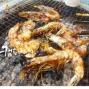 영암프리미엄키즈글램핑 이미지