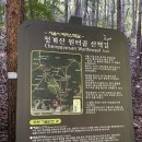 원터2길 3 (1) 이미지