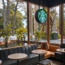 라디 필라테스 이미지