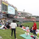 데이도그 이미지