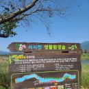 서시천자전거길1 이미지