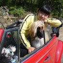봉수니네 Daum카페