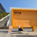 캐빈타운(자연의 향기) | 춘천 가볼만한 곳 : 관광택시로 여행하기 좋은 춘천 추천 여행지