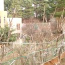 초당동-4 이미지