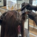 여기서헤어 이미지