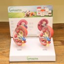 메디펫우리동물병원 이미지