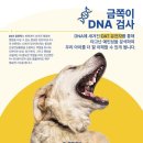 (주)피터펫 이미지