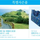 삼성카랜드 이미지