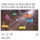 청소기 고민들어줄사람 이미지