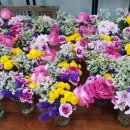 승학자연어린이집 이미지