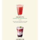 ㈜하나은행(서울인터내셔널타워) | [아티제 신메뉴] 역삼역점에서 만난 여름 시즌 한정 '고창 음료 2종' 가격, 기간 총정리!