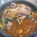 풍성한회나라 이미지