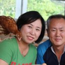 닭사랑농장 이미지