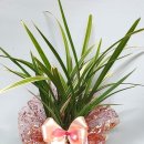 박물관로 이미지