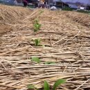 종지농장 이미지