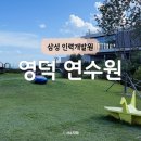 대진차량관리 | 아이와 영덕 삼성인력개발원 연수원 2박3일 꿀팁 룸컨디션 식사 프로그램