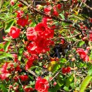 명자농장 이미지