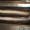 장어의꿈 이미지