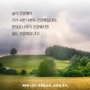 * 숲이 건강해야 나무도 건강해집니다. 반대로 나무가 건강해져야 숲도 건강해집니다! - 조태성 이미지