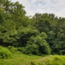 안말목장 이미지