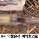 대교의료기 네이버블로그