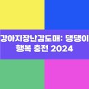 행복충전 | 강아지장난감도매: 댕댕이 행복 충전 2024