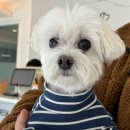 바라다동물병원 이미지