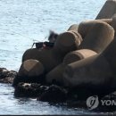 &#39;그렇게 주의를 줘도&#39;…방파제 테트라포드 추락사고 빈발 이미지