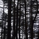 폴인럽제주 이미지