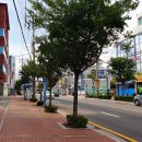 속초사잇길 제3길 이미지