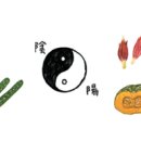 약선생약 이미지