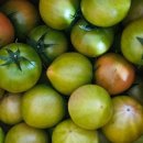 토마토 - 미추홀구 인하로 174 | 토마토