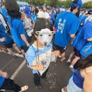 여로수산 | 뽈뽈 돌아다니는 일상