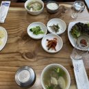 고빈정